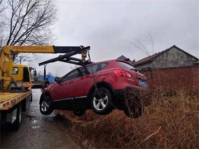 宁晋楚雄道路救援